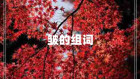皺的組詞