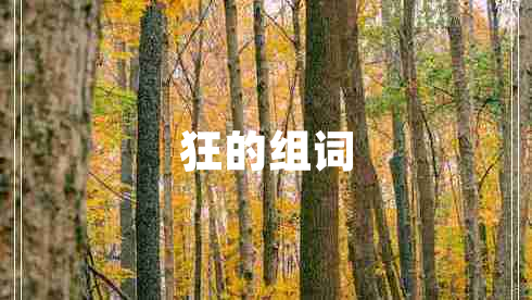 狂的組詞