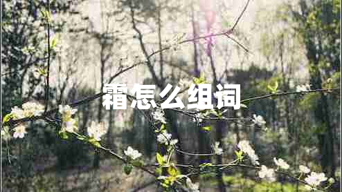 霜怎么組詞