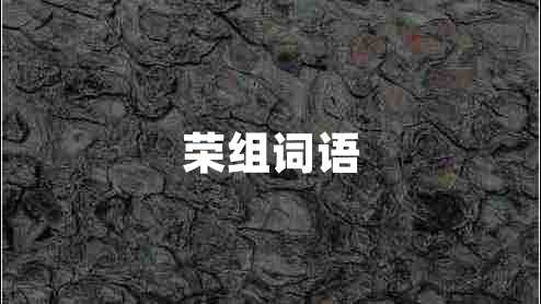 榮組詞語(yǔ)