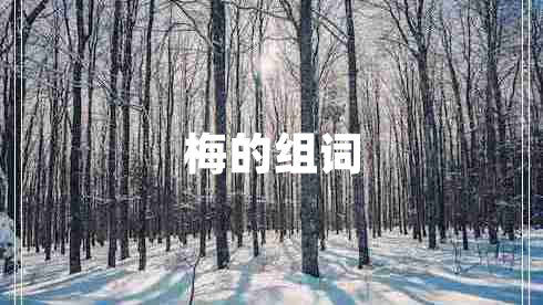 梅的組詞
