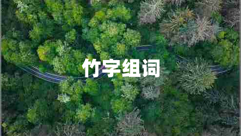 竹字組詞