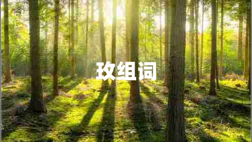 玫組詞