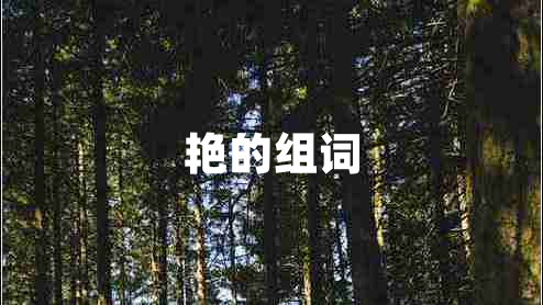 艷的組詞