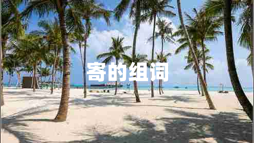 寄的組詞