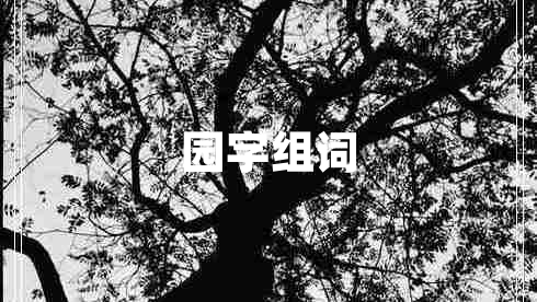 園字組詞