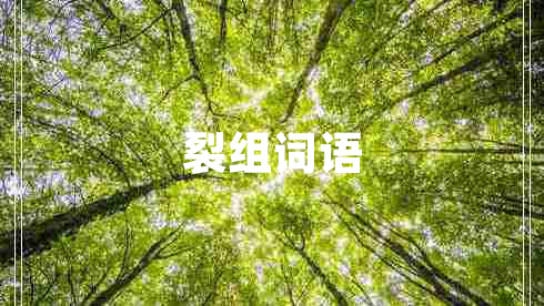 裂組詞語(yǔ)
