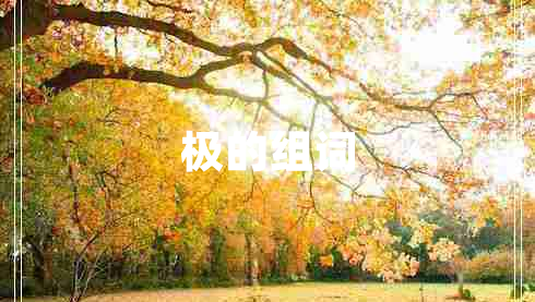 極的組詞