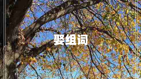 娶組詞