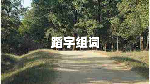 蹈字組詞