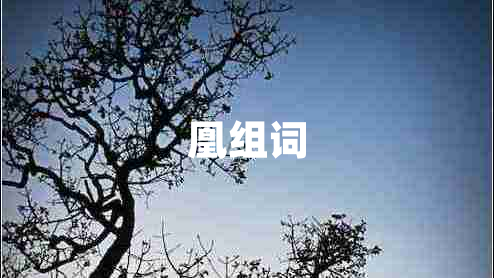 凰組詞