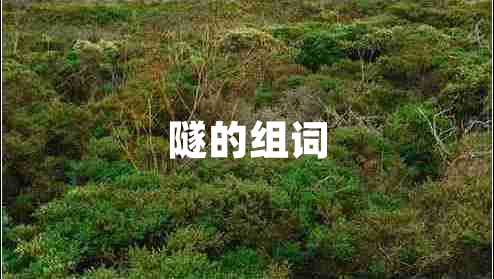 隧的組詞