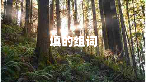 填的組詞