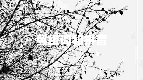 翼組詞和拼音