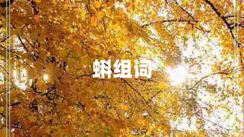 蝌組詞