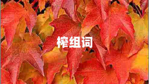 榨組詞
