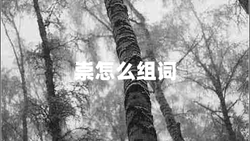 崇怎么組詞