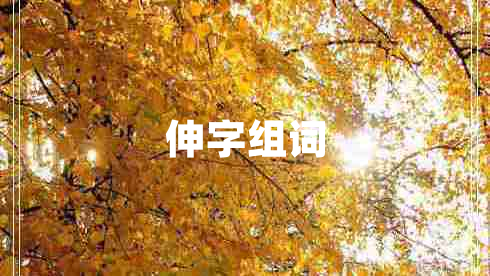 伸字組詞