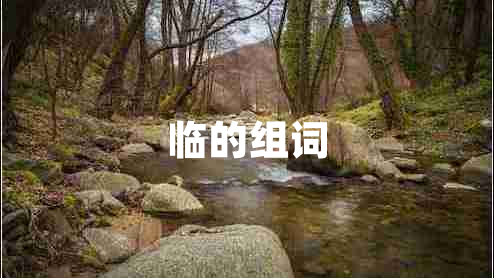 臨的組詞