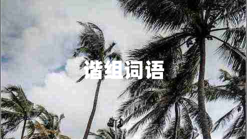 諧組詞語(yǔ)