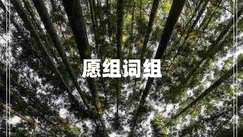 愿組詞組