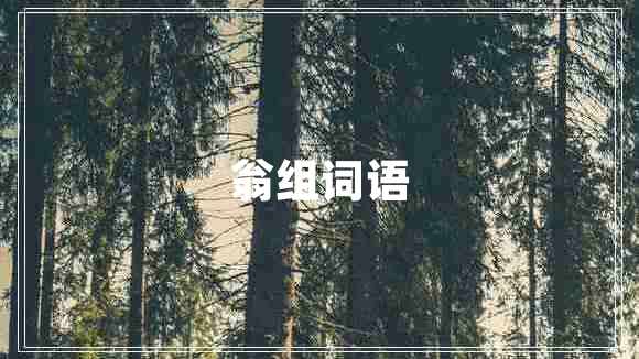 翁組詞語(yǔ)