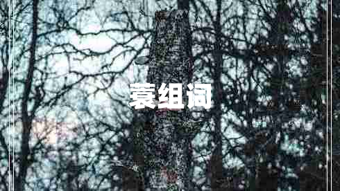 蓑組詞