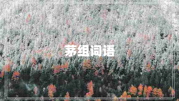 茅組詞語(yǔ)