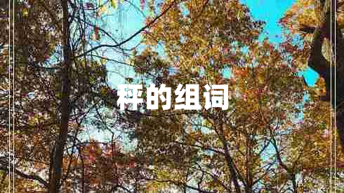 秤的組詞