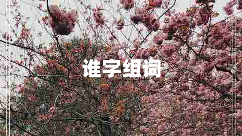 誰(shuí)字組詞