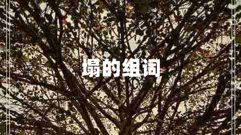 塌的組詞
