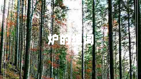爐的組詞