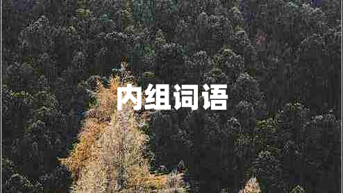 內組詞語(yǔ)