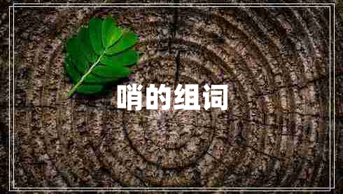 哨的組詞