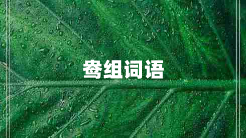 鴦組詞語(yǔ)