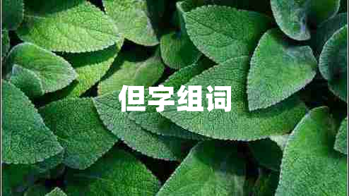 但字組詞