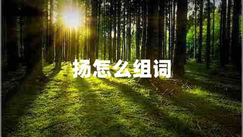 揚怎么組詞