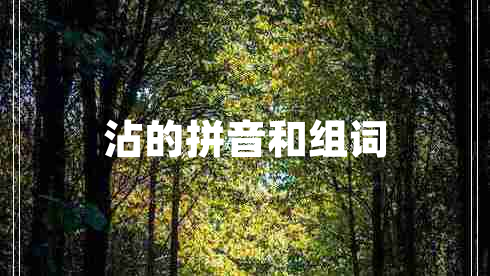 沾的拼音和組詞