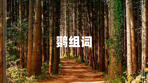鸚組詞