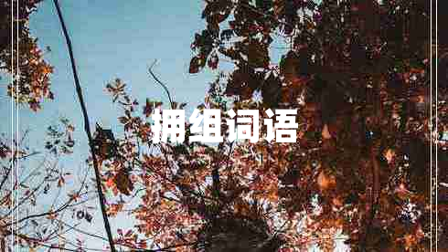 擁組詞語(yǔ)