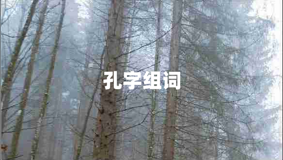 孔字組詞