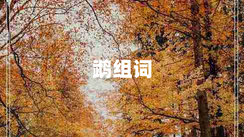 鵡組詞