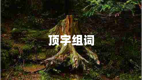 頂字組詞