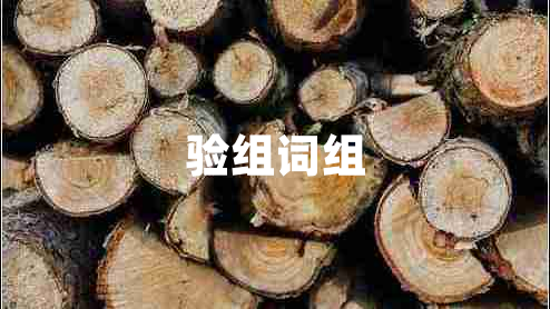 驗組詞組