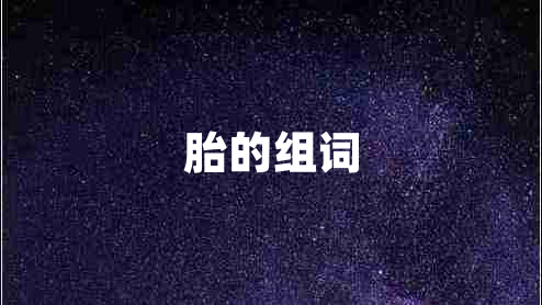 胎的組詞