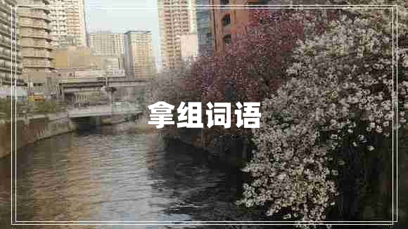拿組詞語(yǔ)