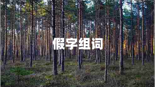 假字組詞