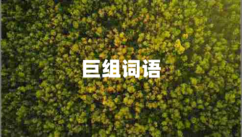巨組詞語(yǔ)