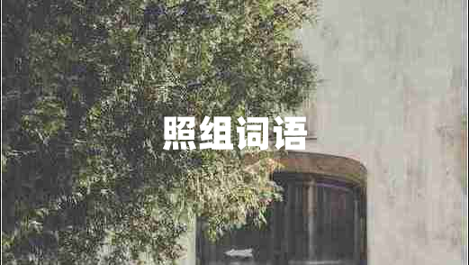 照組詞語(yǔ)