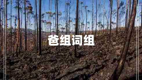 爸組詞組